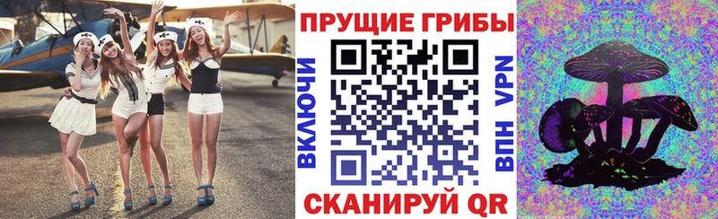 Псилоцибиновые грибы GOLDEN TEACHER  Нея 